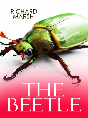 cover image of THE BEETLE